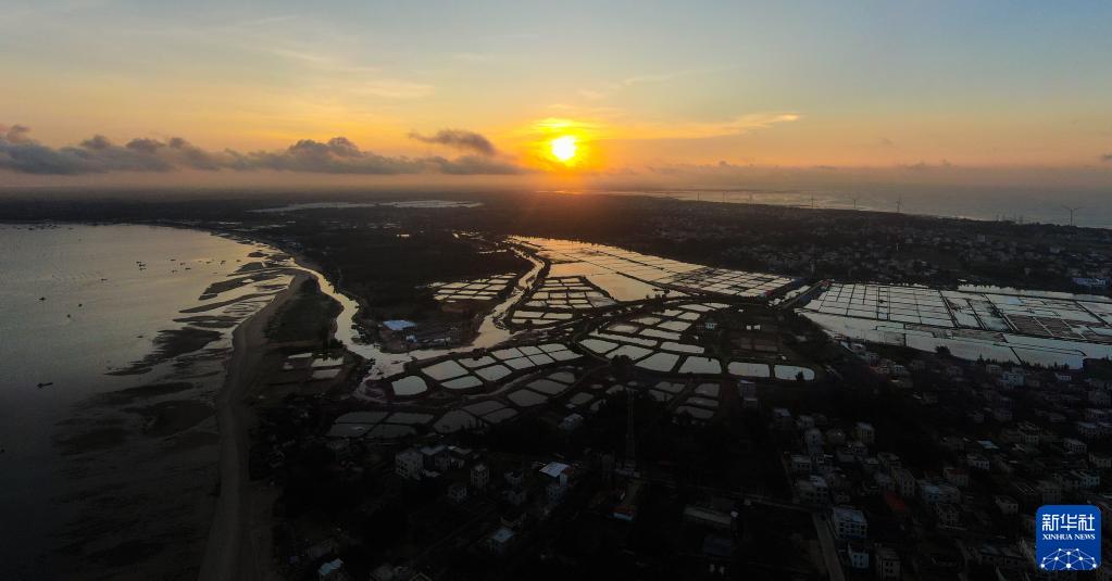 天空6686体育之眼瞰湛江：向海而兴 向海图强 “湛”放(图9)